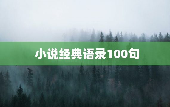 小说经典语录100句