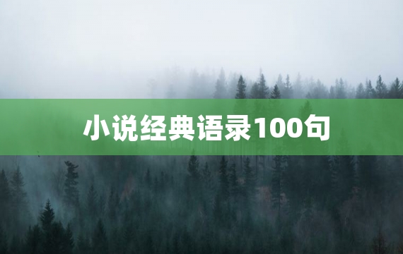 小说经典语录100句