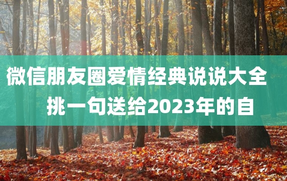 微信朋友圈爱情经典说说大全 挑一句送给2023年的自己