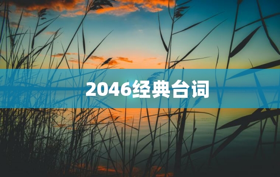 2046经典台词