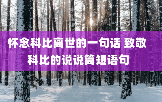 怀念科比离世的一句话 致敬科比的说说简短语句