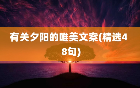 有关夕阳的唯美文案(精选48句)