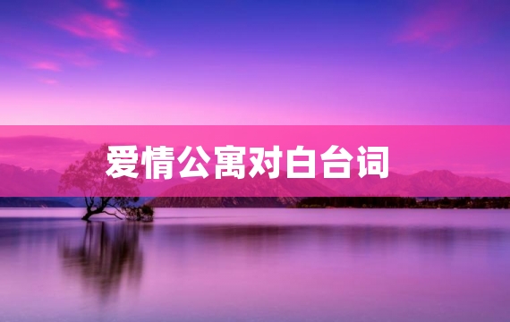 爱情公寓对白台词