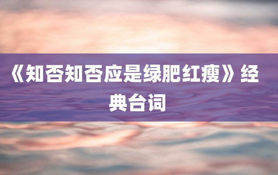 《知否知否应是绿肥红瘦》经典台词