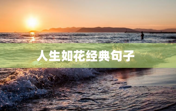 人生如花经典句子