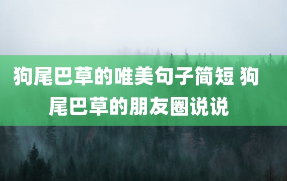 狗尾巴草的唯美句子简短 狗尾巴草的朋友圈说说