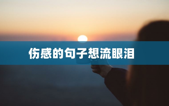 伤感的句子想流眼泪