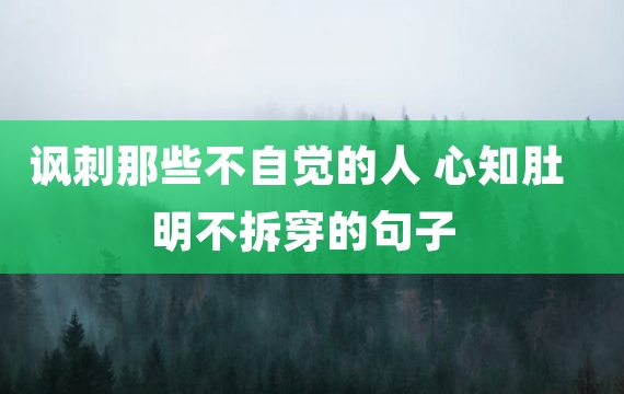 讽刺那些不自觉的人 心知肚明不拆穿的句子