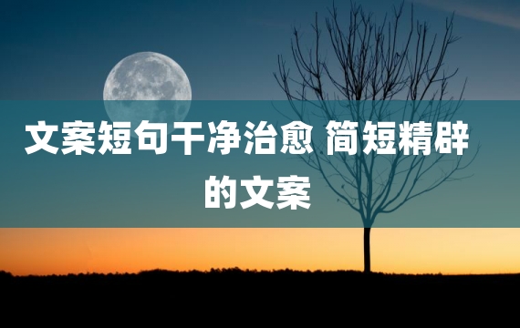 文案短句干净治愈 简短精辟的文案