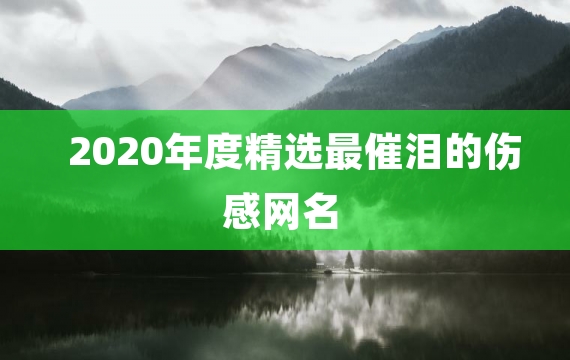 2020年度精选最催泪的伤感网名