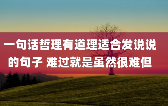 一句话哲理有道理适合发说说的句子 难过就是虽然很难但总会过去