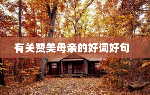 有关赞美母亲的好词好句