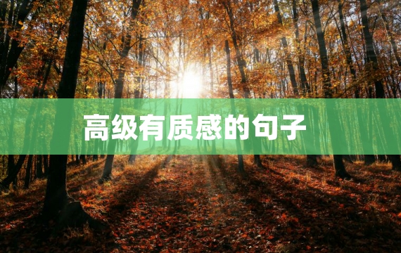画引言来帮助你表达想法