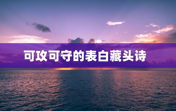 可攻可守的表白藏头诗