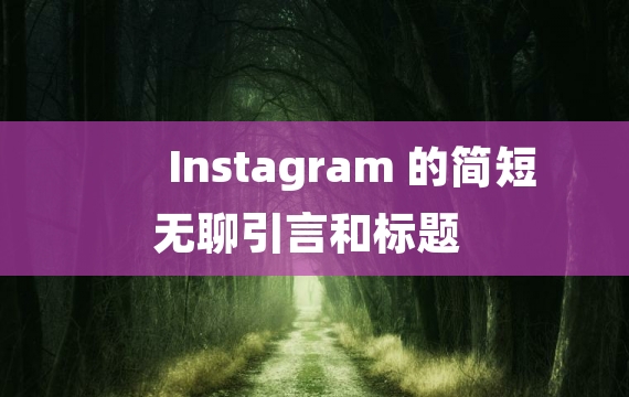 Instagram 的简短无聊引言和标题