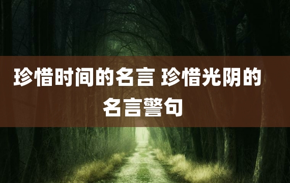 珍惜时间的名言 珍惜光阴的名言警句