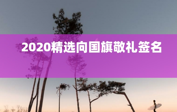 2020精选向国旗敬礼签名