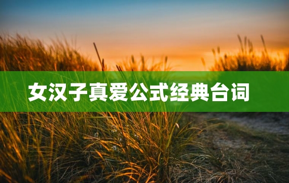 女汉子真爱公式经典台词