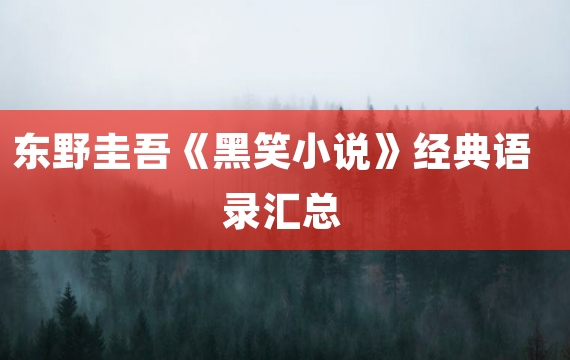 东野圭吾《黑笑小说》经典语录汇总