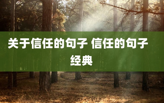 关于信任的句子 信任的句子经典