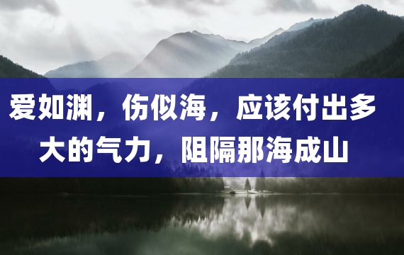 爱如渊，伤似海，应该付出多大的气力，阻隔那海成山