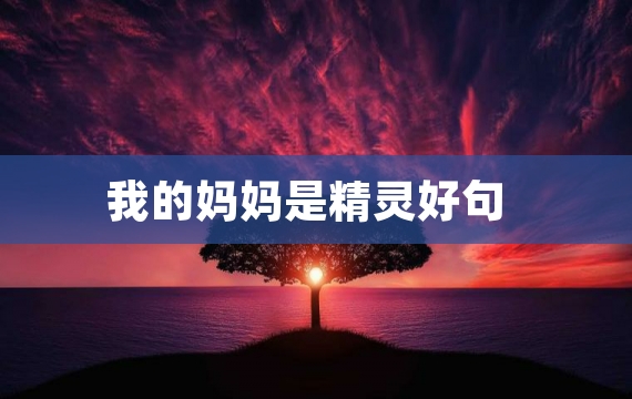 我的妈妈是精灵好句