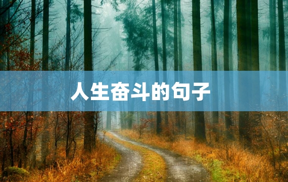 人生奋斗的句子