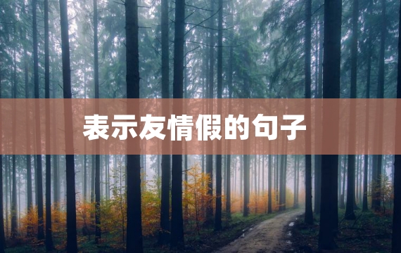 表示友情假的句子