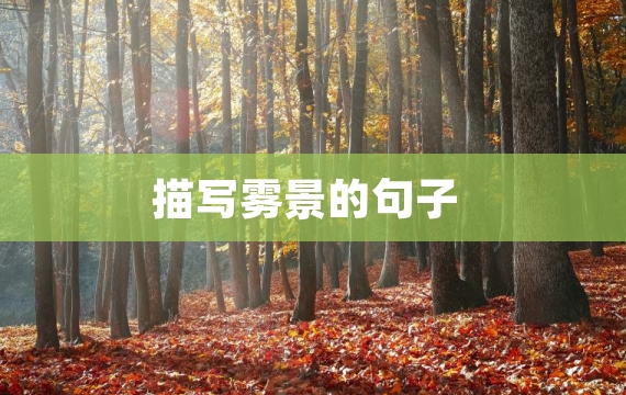 描写雾景的句子