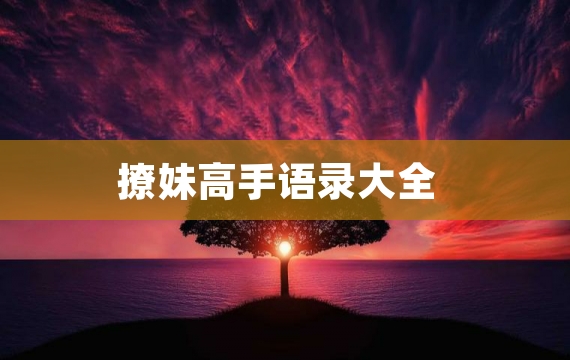 撩妹高手语录大全