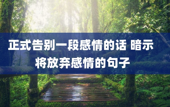 正式告别一段感情的话 暗示将放弃感情的句子