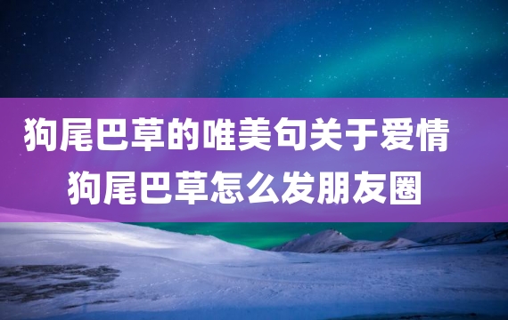 狗尾巴草的唯美句关于爱情 狗尾巴草怎么发朋友圈