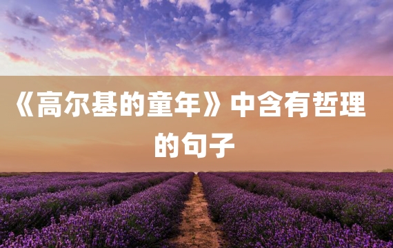 《高尔基的童年》中含有哲理的句子