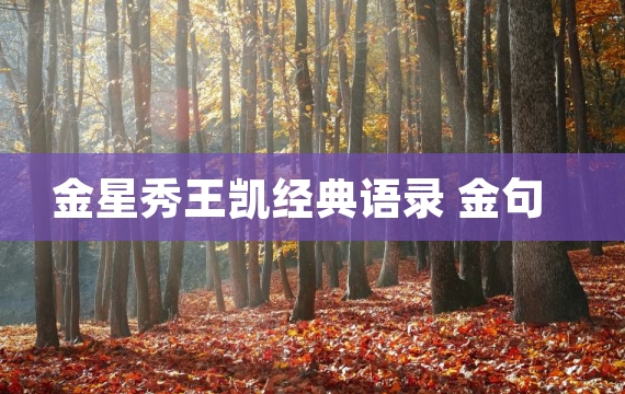 金星秀王凯经典语录 金句