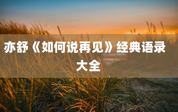 亦舒《如何说再见》经典语录大全