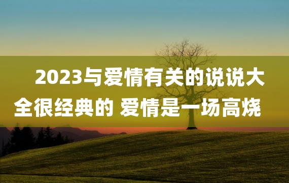 2023与爱情有关的说说大全很经典的 爱情是一场高烧