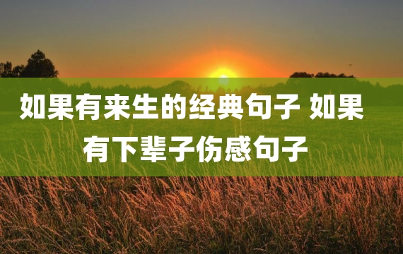 如果有来生的经典句子 如果有下辈子伤感句子