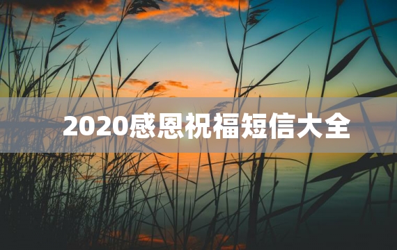 2020感恩祝福短信大全