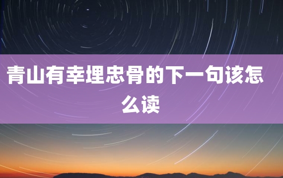 青山有幸埋忠骨的下一句该怎么读