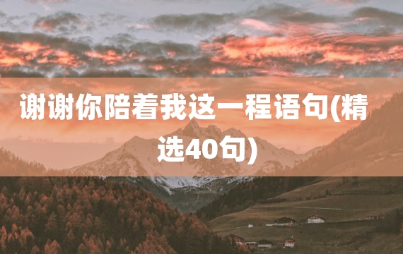 谢谢你陪着我这一程语句(精选40句)