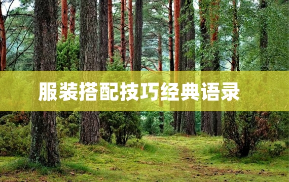 服装搭配技巧经典语录