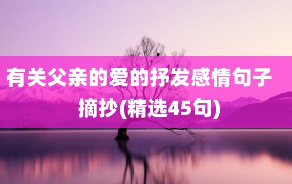 有关父亲的爱的抒发感情句子摘抄(精选45句)