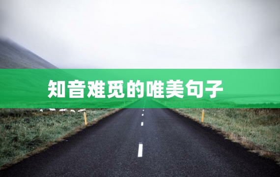 知音难觅的唯美句子