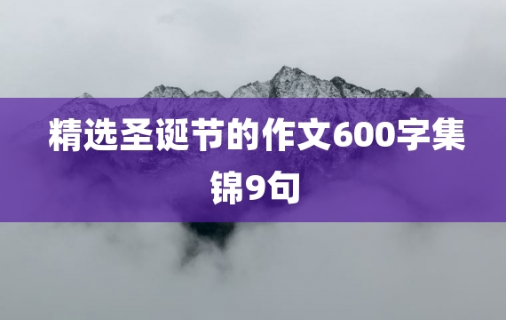 精选圣诞节的作文600字集锦9句