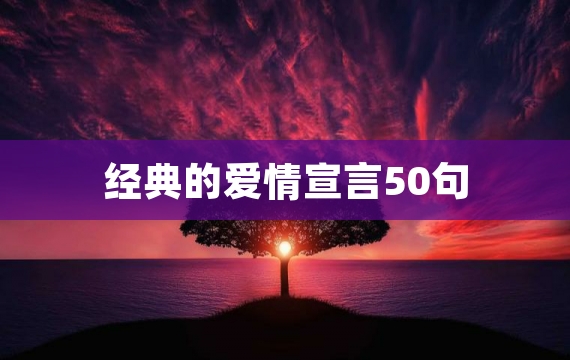 经典的爱情宣言50句