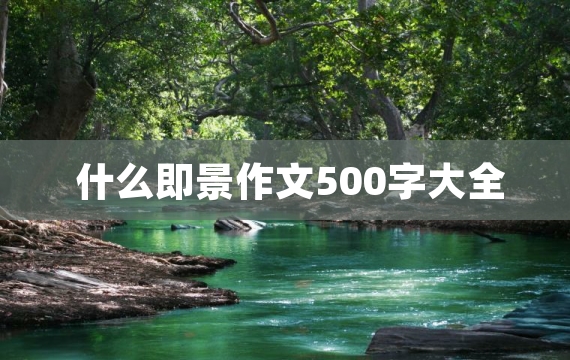 什么即景作文500字大全