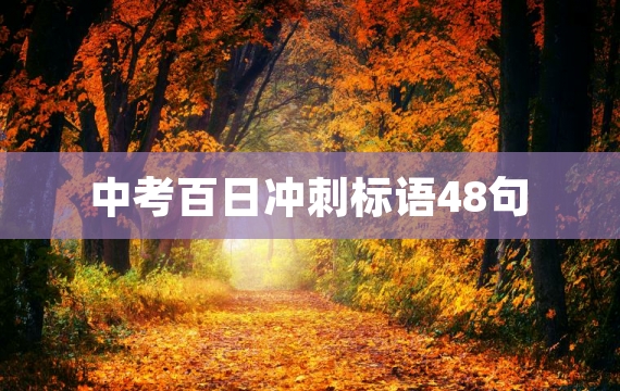 中考百日冲刺标语48句