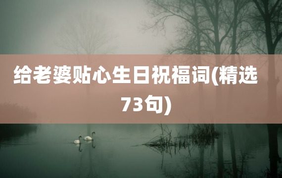 给老婆贴心生日祝福词(精选73句)