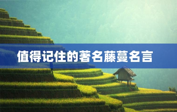 值得记住的著名藤蔓名言