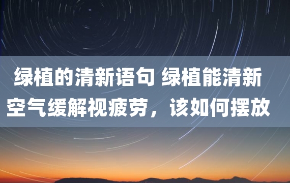 绿植的清新语句 绿植能清新空气缓解视疲劳，该如何摆放？